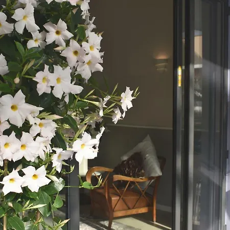 My Fair Лидо-ди-Езоло